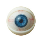 ロリドール MyLoliWaifu 100cm AAカップ Nonokaヘッド 激かわラブドール