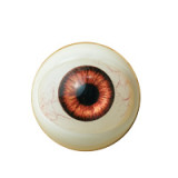 ロリドール MyLoliWaifu 100cm AAカップ Nonokaヘッド 激かわラブドール