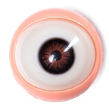 新作ヘッド Starpery 制服姿の美少女ラブドール 163cm Cカップ Asuka Evaヘッド 等身大ダッチワイフ