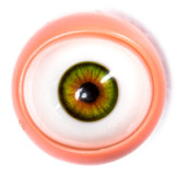 新作ヘッド Starpery 制服姿の美少女ラブドール 163cm Cカップ Asuka Evaヘッド 等身大ダッチワイフ