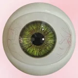 Art Doll Novaシリーズ 148cm Dカップ A6ヘッド TPE製ボディ+シリコン製頭部