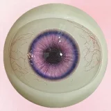 Art Doll Novaシリーズ 148cm Dカップ A6ヘッド TPE製ボディ+シリコン製頭部