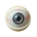 Jiusheng Doll シリコン製人形 107cm Fカップ Elaraヘッド 腕無し 半身ラブドール