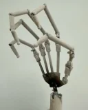 魅惑的なラブドール Jiusheng Doll 155cm Fカップ #62ヘッド（Aki） ボディ材質が選べるダッチワイフ