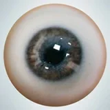 人造人(RZRDOLL) 大人かわいいリアルドール No.23 160cm Dカップ 楚儿(Chuer)ヘッド トップクラスリアルドール