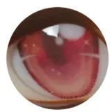 Sino Doll 頭部のみ フルシリコン製ヘッド Headダッチワイフ