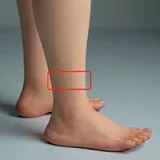 BC Doll 155cm Jカップ Dorothyヘッド 着脱式舌付き 等身大アニメドール