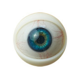 【追加ヘッド半額】MyLoliWaifu フルシリコン製ラブドール 手の指の骨格＆ハードハンド＆ハードフィート＆ジェルお尻がすべて無料キャンペーン開催中 各頭部とボディを自由に組み合わせ可能