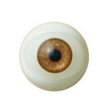 【追加ヘッド半額】MyLoliWaifu フルシリコン製ラブドール 手の指の骨格＆ハードハンド＆ハードフィート＆ジェルお尻がすべて無料キャンペーン開催中 各頭部とボディを自由に組み合わせ可能