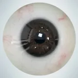 人造人(RZRDOLL) 読書好きリアルドール No.23 160cm Dカップ 楚儿(Chuer)ヘッド 高校生風ダッチワイフ