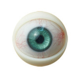 Jiusheng Doll 158cm Dカップ #8-Arisaヘッド フルシリコン ラブドール