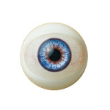 Jiusheng Doll 158cm Dカップ #8-Arisaヘッド フルシリコン ラブドール