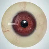 人造人(RZRDOLL) 読書好きリアルドール No.23 160cm Dカップ 楚儿(Chuer)ヘッド 高校生風ダッチワイフ