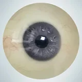 人造人(RZRDOLL) 読書好きリアルドール No.23 160cm Dカップ 楚儿(Chuer)ヘッド 高校生風ダッチワイフ