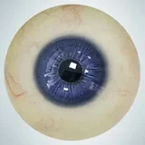 人造人(RZRDOLL) 読書好きリアルドール No.23 160cm Dカップ 楚儿(Chuer)ヘッド 高校生風ダッチワイフ