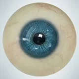 人造人(RZRDOLL) 読書好きリアルドール No.23 160cm Dカップ 楚儿(Chuer)ヘッド 高校生風ダッチワイフ