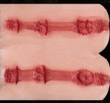 【新作セール 11月15日まで12%OFF】Topsino 96cm Hカップ T46ヘッド 【RRS+メイク版】戦士風ラブドール