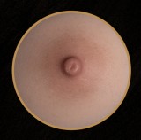 【11月15日まで12％OFFまたは大型オナホ1個を無料プレゼント】Topsino 96cm Hカップ T43B 米苏ヘッド 【アートワークカスタムメイク付き】 人魚コスプレトルソー