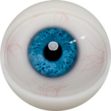 FANREAL ヘッド単品 フルシリコン製頭部 Headのみ