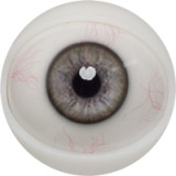 FANREAL ヘッド単品 フルシリコン製頭部 Headのみ