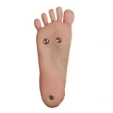 TOP-CYDOLL 自信のあるラブドール 150cm Cカップ Polly-Sヘッド 高品質ダッチワイフ