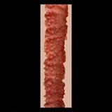 【11月30日まで10%OFF】ZELEX DOLL 年末キャンペーン開催中 フルシリコンラブドール