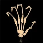 【11月25日まで10％OFF】HSDoll リアル系等身大ラブドール 135cm Bカップ 秘書コスプレ 掲載画像と同じ衣装一式無料付属