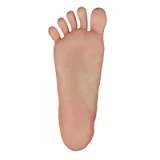 TOP-CYDOLL 157cm Dカップ Fairyヘッド 等身大リアルドール