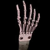 FANREAL 166cm Jカップ Noraヘッド 巨乳娘 大人っぽいダッチワイフ