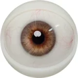 FANREAL 166cm Jカップ Noraヘッド 巨乳娘 大人っぽいダッチワイフ