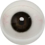 FANREAL 166cm Jカップ Noraヘッド 巨乳娘 大人っぽいダッチワイフ