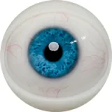 FANREAL 166cm Jカップ Noraヘッド 巨乳娘 大人っぽいダッチワイフ