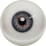 FANREAL 166cm Jカップ Noraヘッド 巨乳娘 大人っぽいダッチワイフ