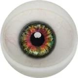 FANREAL 166cm Jカップ Noraヘッド 巨乳娘 大人っぽいダッチワイフ