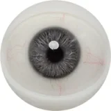 FANREAL 166cm Jカップ Noraヘッド 巨乳娘 大人っぽいダッチワイフ