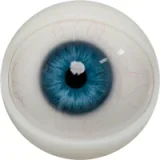 FANREAL 166cm Jカップ Noraヘッド 巨乳娘 大人っぽいダッチワイフ