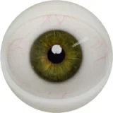 FANREAL 166cm Jカップ Noraヘッド 巨乳娘 大人っぽいダッチワイフ