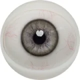 FANREAL 166cm Jカップ Noraヘッド 巨乳娘 大人っぽいダッチワイフ