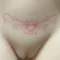 入れ墨あり④