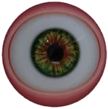 WMDOLL グラマラス胴体 163cm Hカップ #198ヘッド シリコン製ラブドール