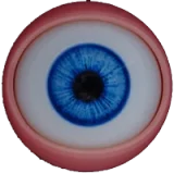 WMDOLL グラマラス胴体 163cm Hカップ #198ヘッド シリコン製ラブドール