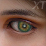 【追加ヘッド無料】XTDOLL 春のキャンペーン開催中 フルシリコン製ラブドール