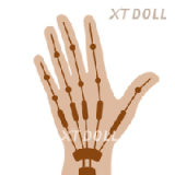 XTDOLL 超軽量化ラブドール 163cm Fカップ XT-3 Cynthiaヘッド 誘惑系 セクシーラブドール