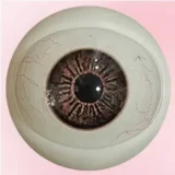 Art Doll リアル皮膚メイク付き 153cm Eカップ 源千織（Chiori）ヘッド 清楚系リアルドール