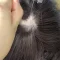 髪の毛植毛付き（髪色と髪型が相談可能です。）