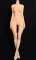 158cm Cカップ（31kg）