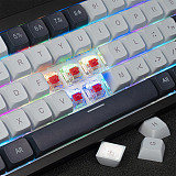 TM680 68-Key Customization Hot-Swappable RGB Mechanical Gaming Keyboard (GATERON Red Switch)