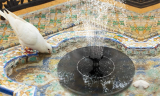 Solar-Powered Fountain Pump