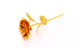 24ct Gold-Plated Rose 