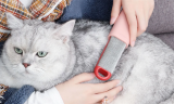 Pet Hair Remover